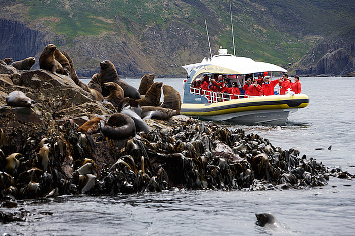 Seals at The Friars