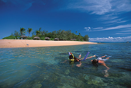 Snorkelling at Low Isles