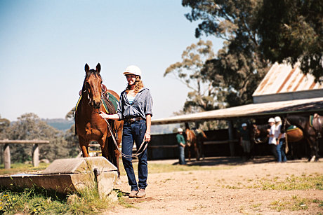 Stables