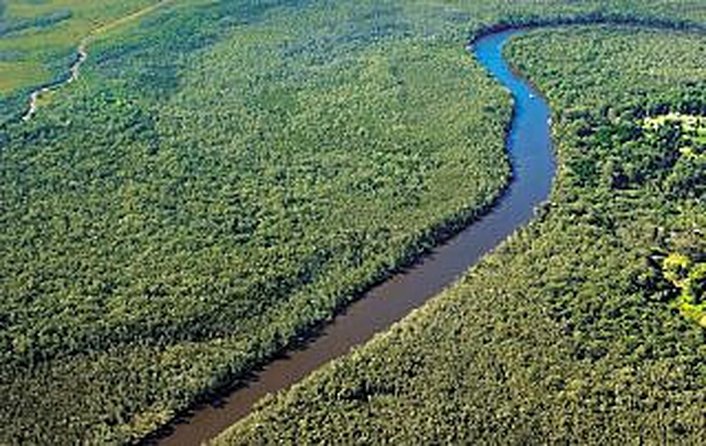 Aerial of the Everglades