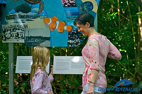 Visit the Rainforest Interpretive Centre