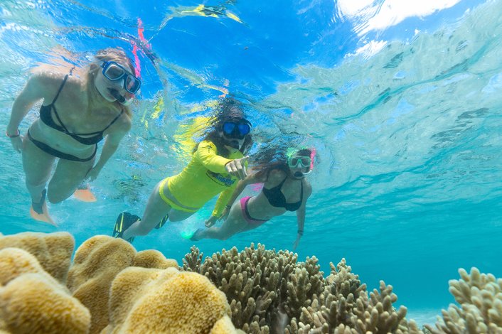 Great Barrier Reef snorkelling