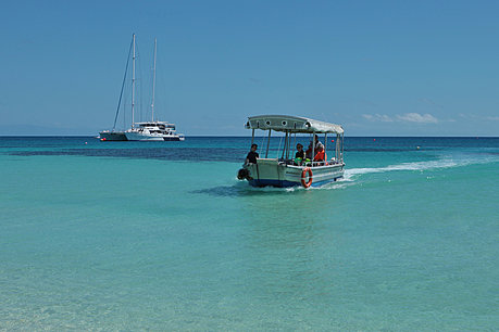 Beach Buggy transfers