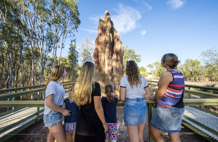 Litchfield National Parks famous Termite Mounds