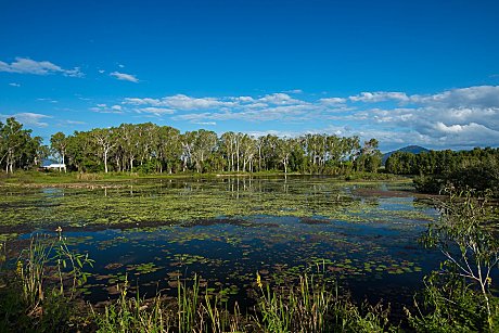 The property near Cairns for ATV riding