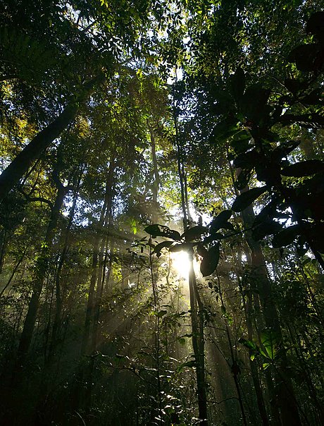 rainforest streams, views and a variety of scenery