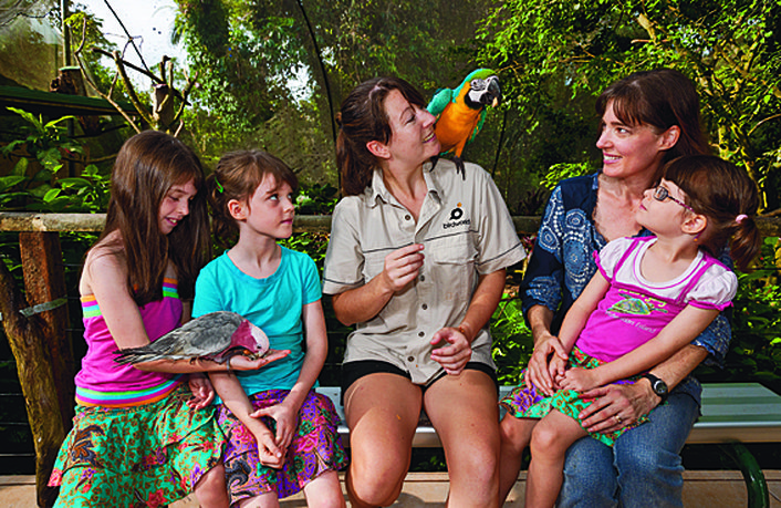 Feeding at Birdworld Kuranda