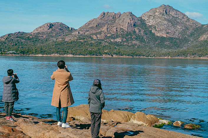 Whale watching is easy at Freycinet