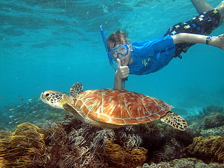 Snorkelling with a turtle
