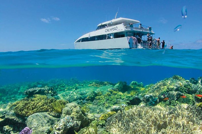 Bubbles on the Reef