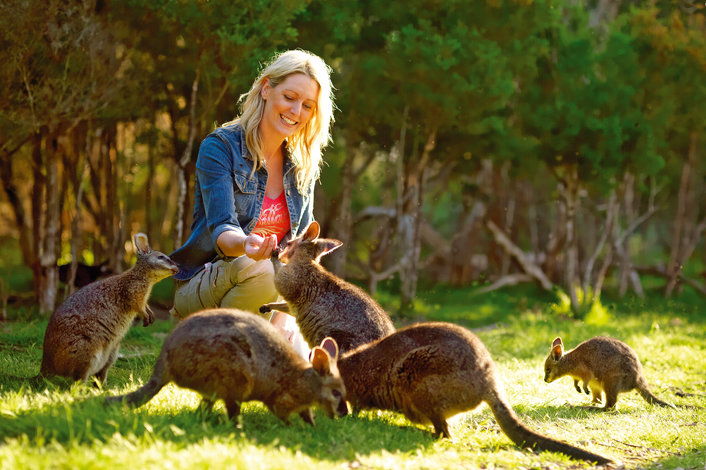 Wallaby Walk at Moonlit Sanctuary