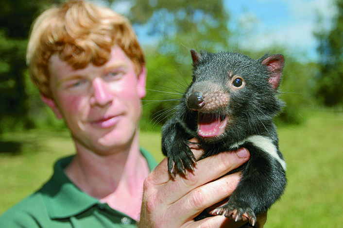 TASMANIAN DEVIL PARK