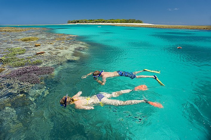 Snorkelling at the Reef