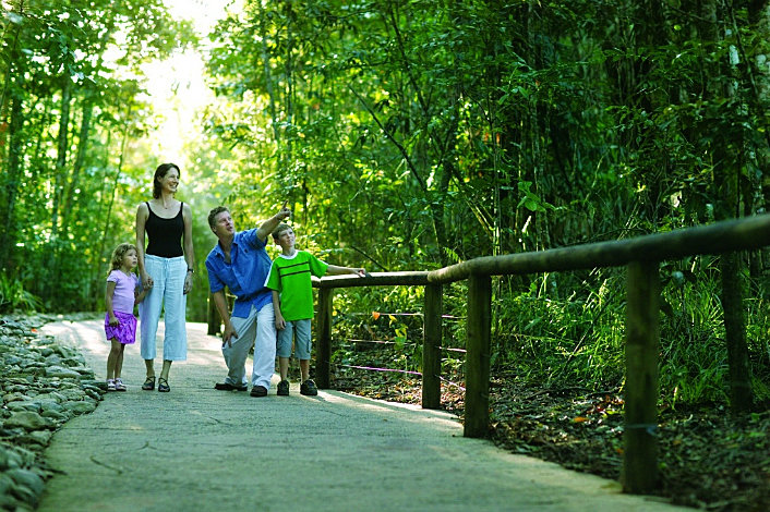 Rainforest Boardwalk