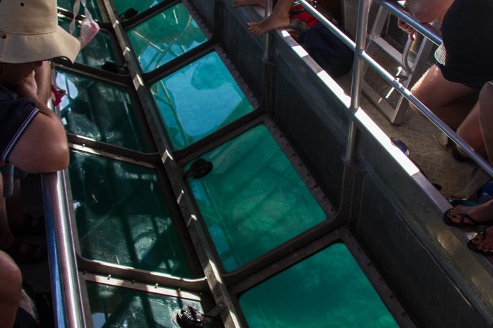 Fitzroy Island Glass Bottom Boat