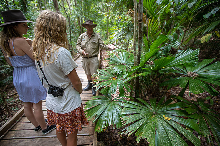 Up close with the rainforest