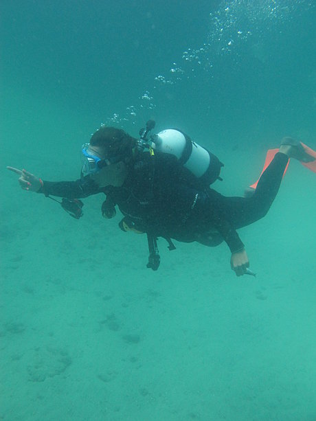 SCUBA Dive with Adventure Moreton Island