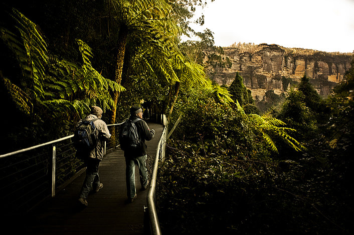 Valley boardwalk