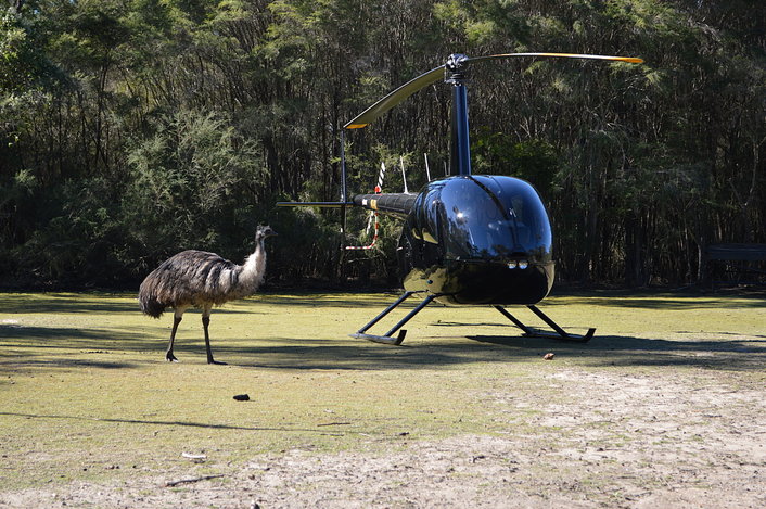 Aussie Bush and Wildlife Helicopter Tour