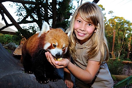 Bindi at the Red Panda enclosure