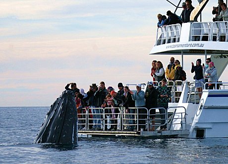 Unique viewing platform