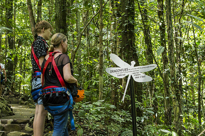 Learn about Rainforest inhabitants.