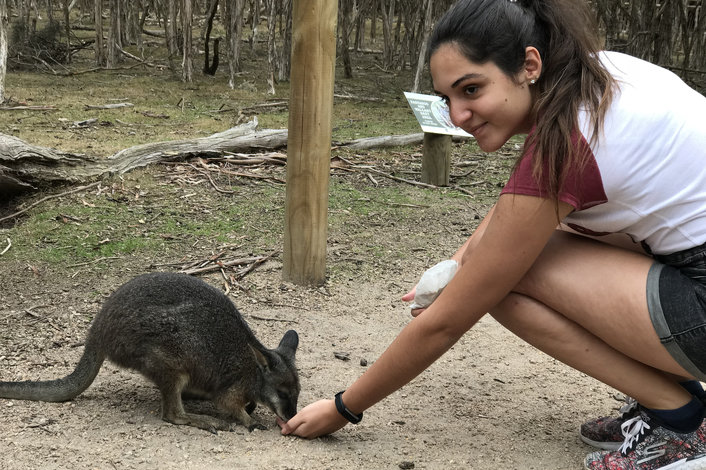 Feeding the wallabie