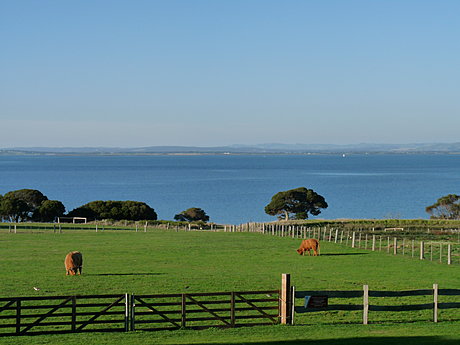 Churchill Island Farm