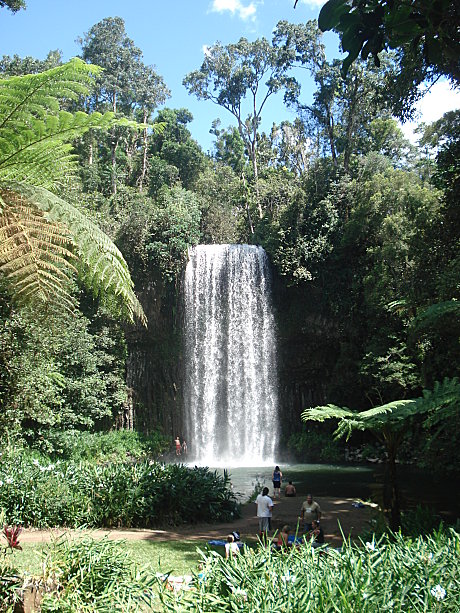 Take a dip under the region's most famous waterfall- Millaa Millaa falls