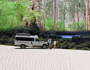 Beach & Forest Offroad Adventure