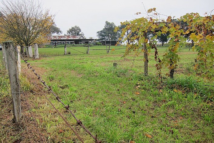 Driving to Yering Farm Wines