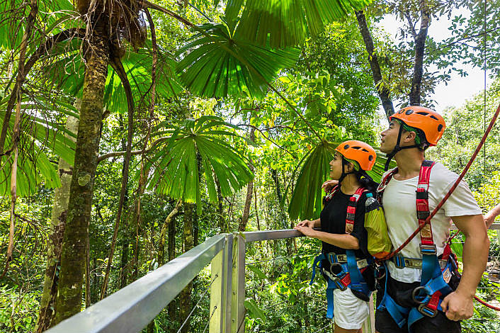 Right there, inside the treetops.