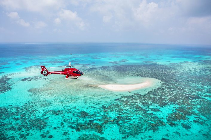 flying over the reef.