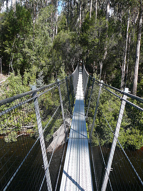 Huon Valley and Tree Tops Walk (Full Day) • Tours To Go