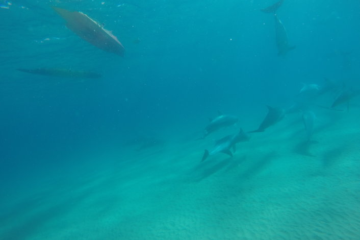 Underwater Fun