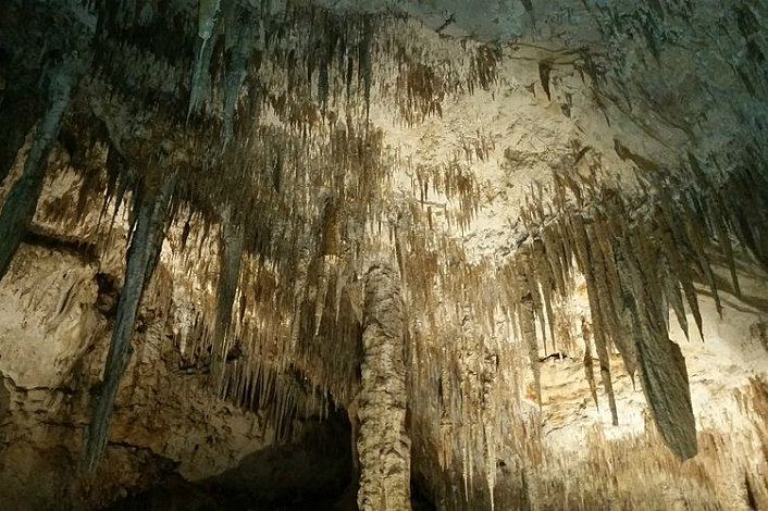 Explore Mammoth Cave