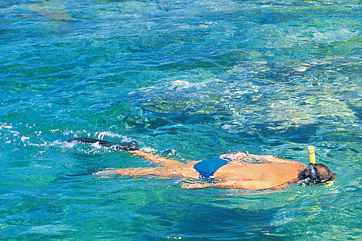 Snorkeling on Fitzroy Island