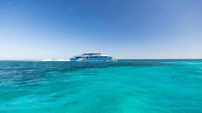 Quokka1 Ferry