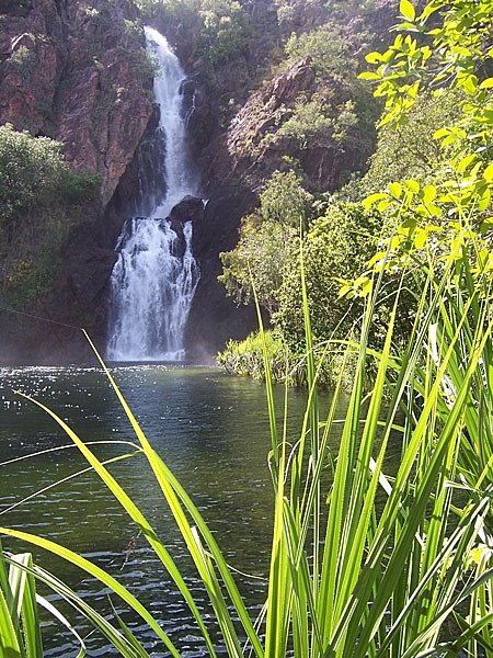 Kakadu