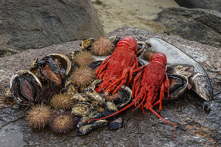 Seafood on the rocks 