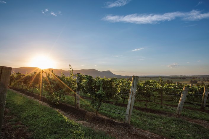 Hunter Valley wineries