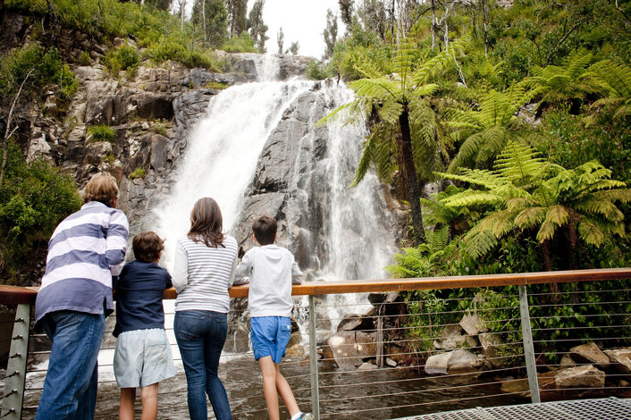 Steavenson Falls