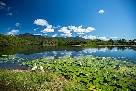 the billabong for ATV riding near Cairns