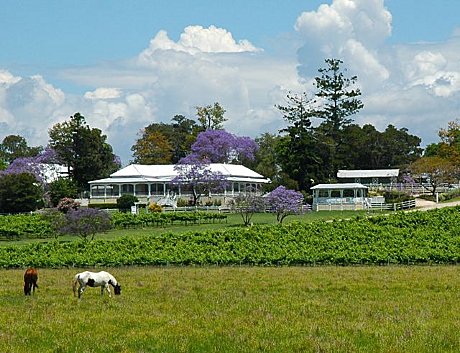 Albert River Winery