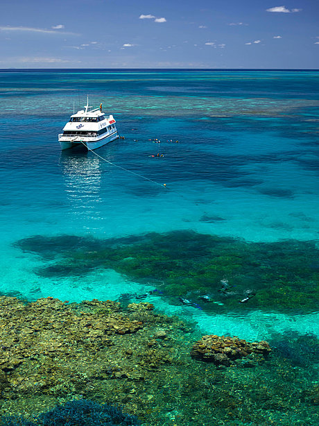 Visit 3 pristine Agincourt Reef sites