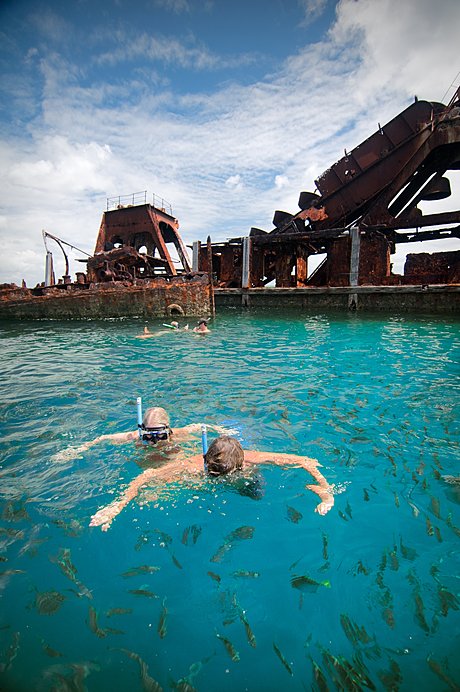 Snorkel the Tangalooma Wrecks!