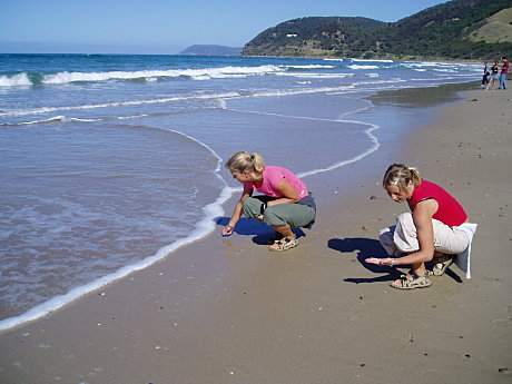 Cruise on some beautiful beaches