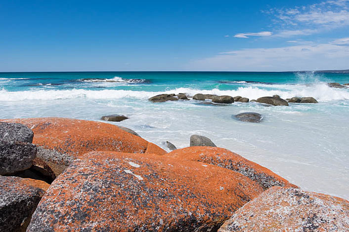 Bold red lichen decorates the coastline of Tasmania's East Coast