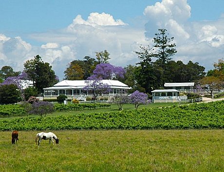 Albert River Winery (lunch option)