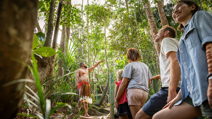 Pamagirri Rainforest Walkabout 